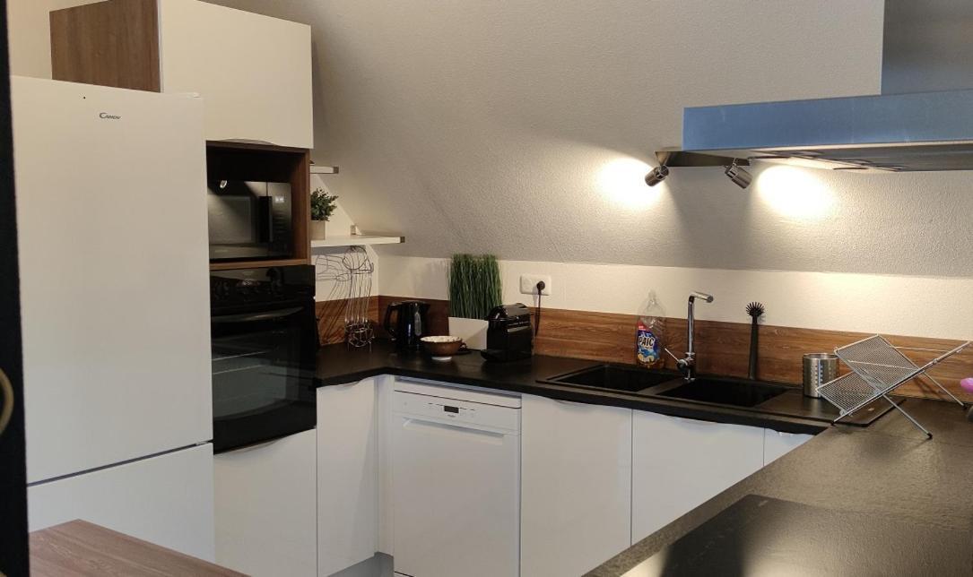 Apartamento Le Strasbourgeois Illkirch-Graffenstaden Exterior foto