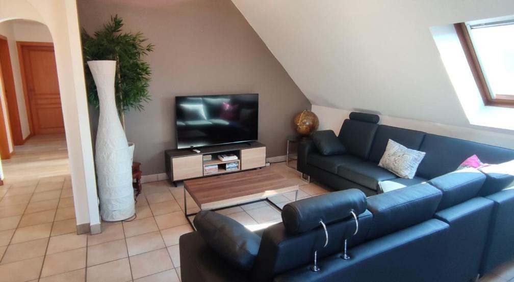 Apartamento Le Strasbourgeois Illkirch-Graffenstaden Exterior foto